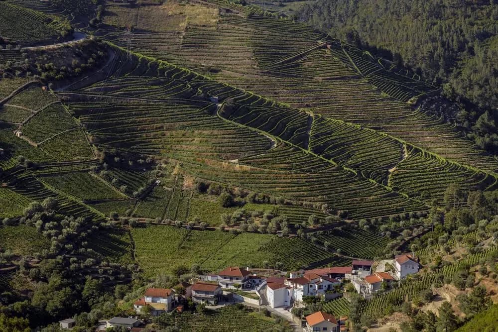 Douro Valley and inland gems.webp