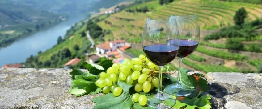 Port wine: Nectar of the Douro