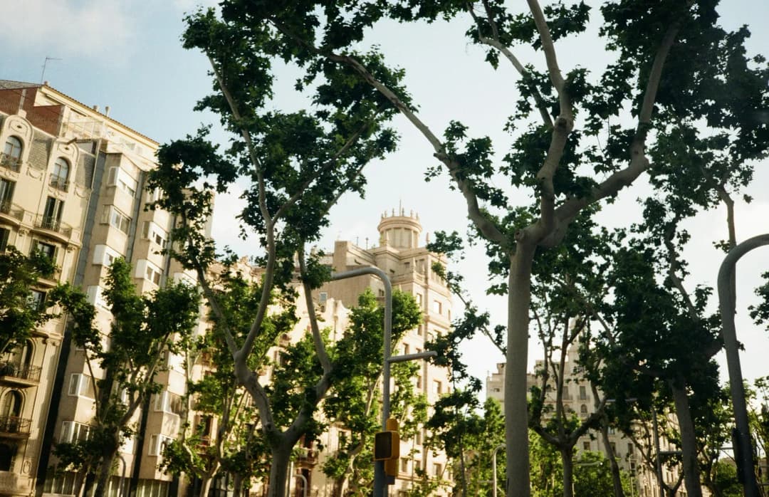 Retiring in Portugal vs Spain: Which country fits your retirement plan?