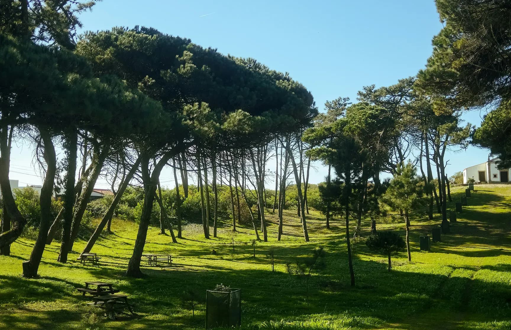 Best international schools in Portugal: A guide for expats with children